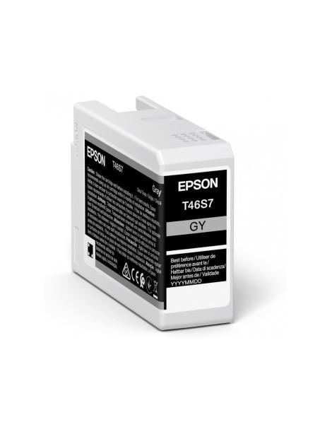 Singlepack Gray UltraChrome Pro 10 ink 25ml